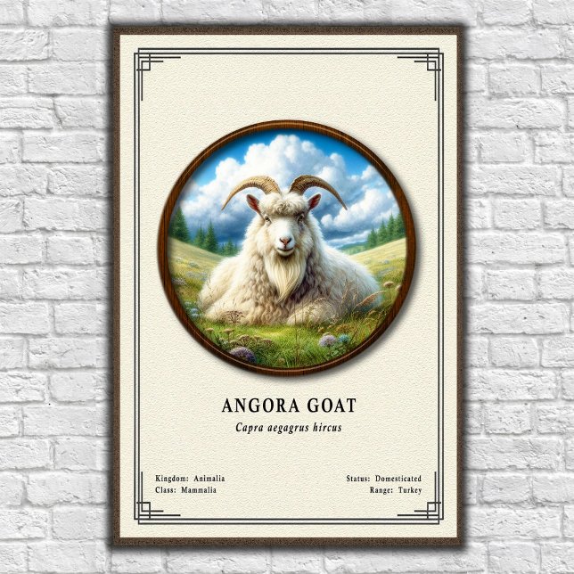 Póster Serie de Zoología de Cabra de Angora (Subido por el creador)