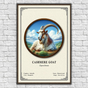 Póster Serie de Zoología de Cabra de Cachemira