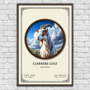 Póster Serie de Zoología de Cabra de Cachemira