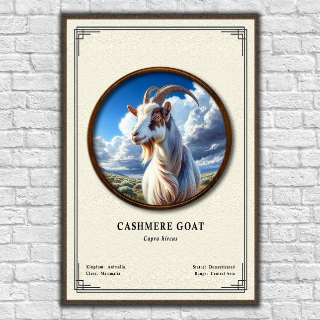 Póster Serie de Zoología de Cabra de Cachemira (Subido por el creador)