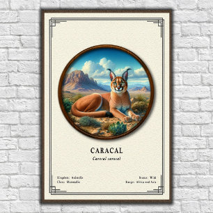 Póster Serie de Zoología de Caracal