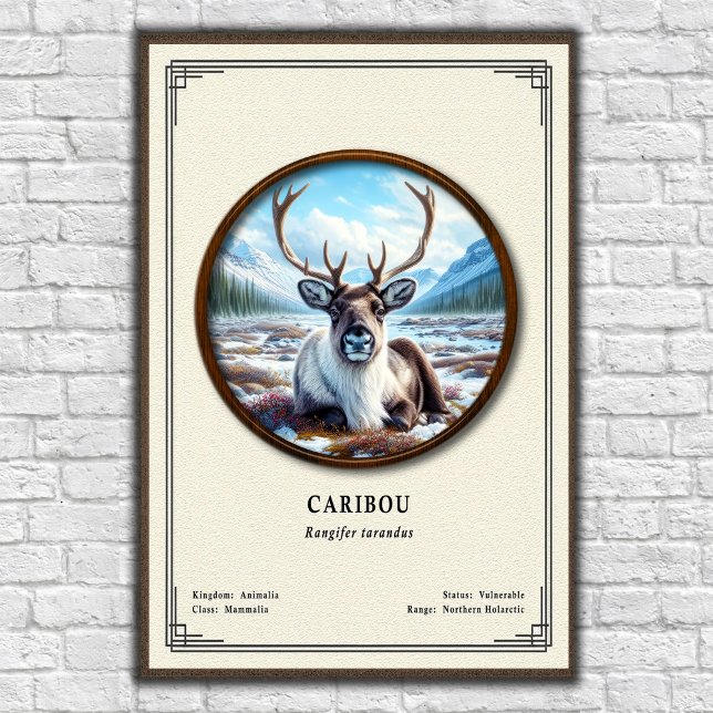 Póster Serie de Zoología de Caribú (Subido por el creador)