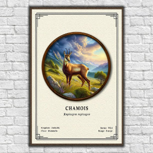 Póster Serie de Zoología de Gamuzo