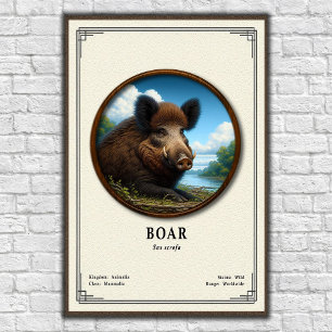 Póster Serie de Zoología de Jabalí