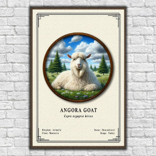 Póster Serie de Zoología de la Cabra de Angora