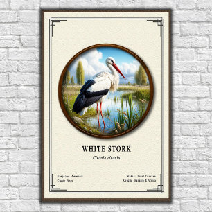 Póster Serie de Zoología de la Cigüeña Blanca