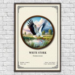 Póster Serie de Zoología de la Cigüeña Blanca