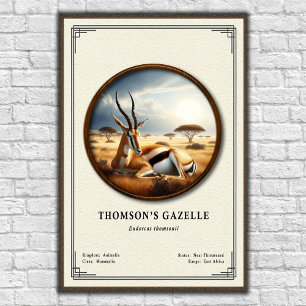 Póster Serie de Zoología de la Gacela de Thomson