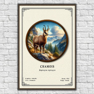 Póster Serie de Zoología de Rebeco