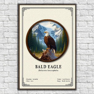 Póster Serie de Zoología del Águila Calva