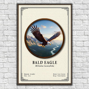 Póster Serie de Zoología del Águila Calva