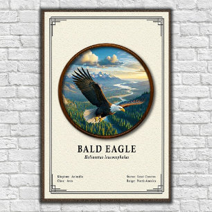 Póster Serie de Zoología del Águila Calva