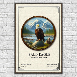 Póster Serie de Zoología del Águila Calva
