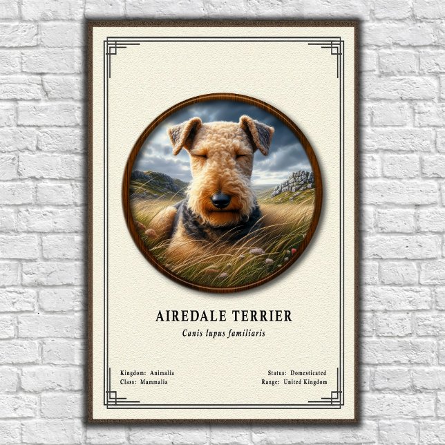 Póster Serie de Zoología del Airedale Terrier (Subido por el creador)