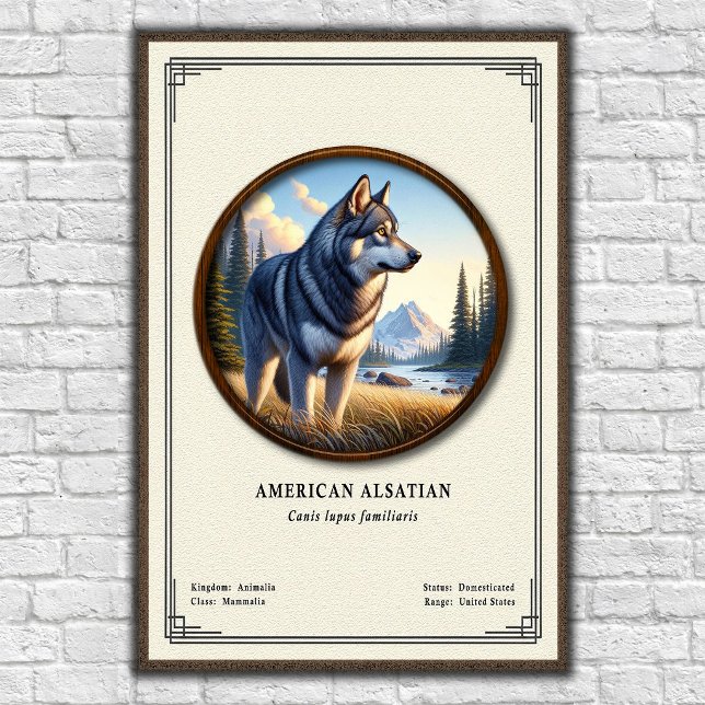 Póster Serie de Zoología del Alsaiano Americano (Subido por el creador)