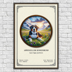 Póster Serie de Zoología del Appenzeller Sennenhund