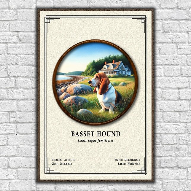 Póster Serie de Zoología del Basset Hound (Subido por el creador)
