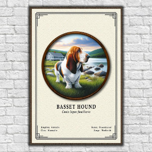 Póster Serie de Zoología del Basset Hound