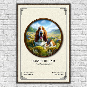 Póster Serie de Zoología del Basset Hound