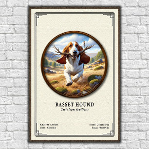 Póster Serie de Zoología del Basset Hound