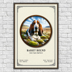 Póster Serie de Zoología del Basset Hound