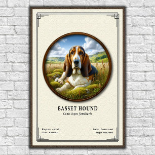 Póster Serie de Zoología del Basset Hound