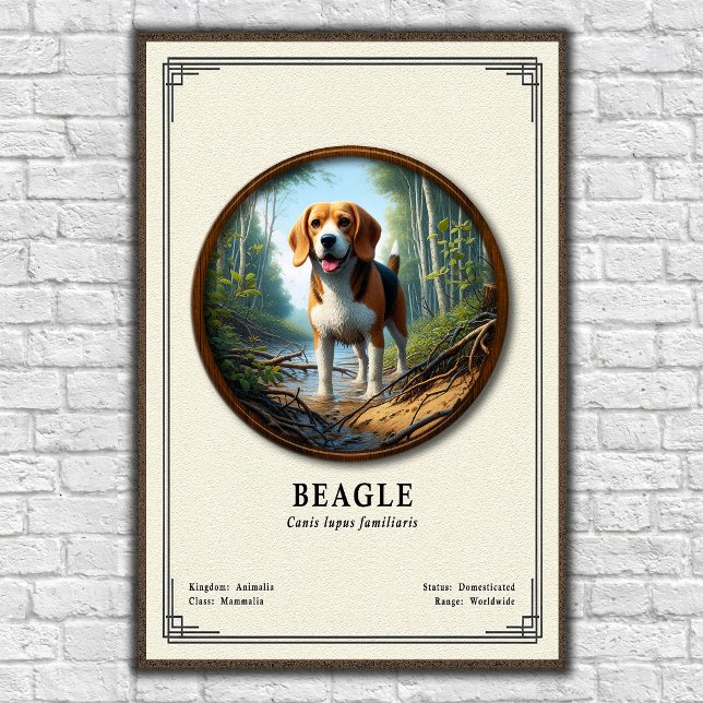 Póster Serie de Zoología del Beagle (Subido por el creador)