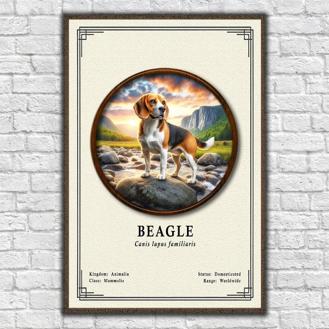 Póster Serie de Zoología del Beagle (Subido por el creador)