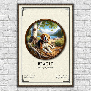 Póster Serie de Zoología del Beagle