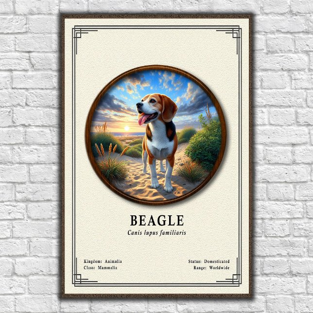 Póster Serie de Zoología del Beagle (Subido por el creador)