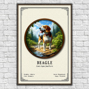 Póster Serie de Zoología del Beagle