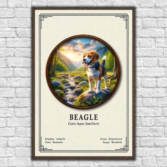 Póster Serie de Zoología del Beagle (Subido por el creador)