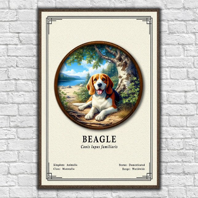Póster Serie de Zoología del Beagle (Subido por el creador)