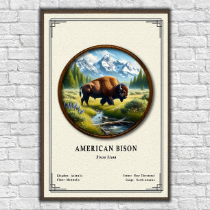Póster Serie de Zoología del Bisonte Americano