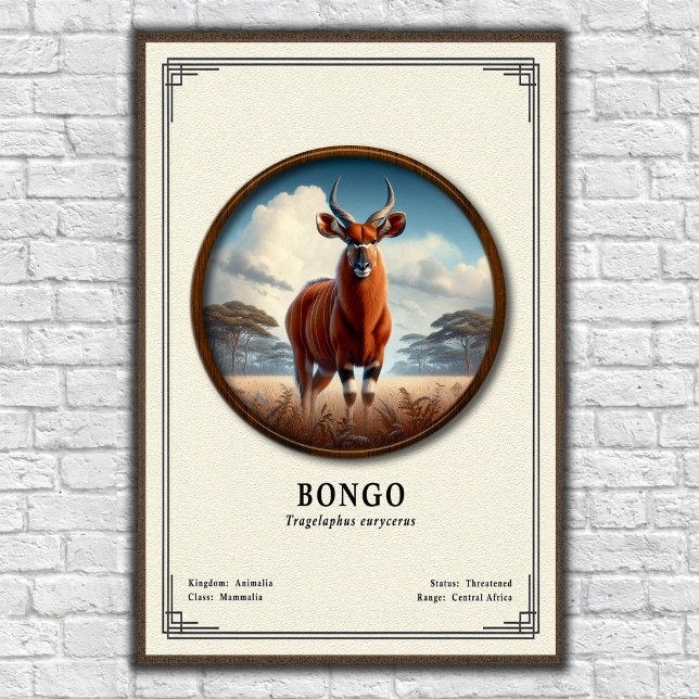 Póster Serie de Zoología del Bongo (Subido por el creador)