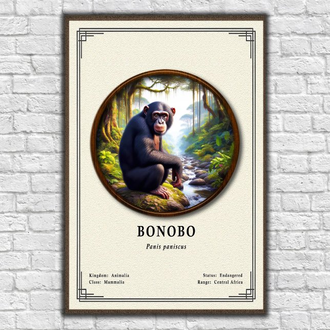 Póster Serie de Zoología del Bonobo (Subido por el creador)