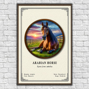Póster Serie de Zoología del Caballo Árabe
