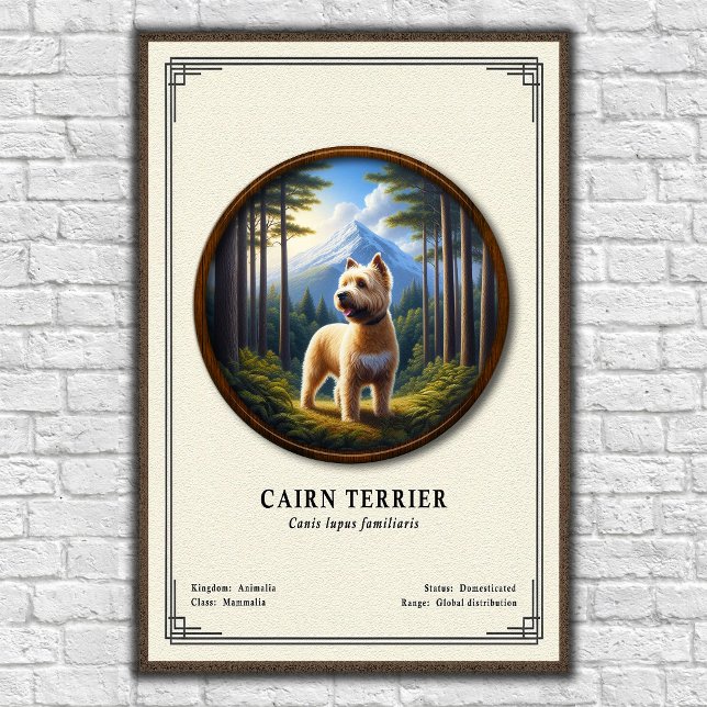 Póster Serie de Zoología del Cairn Terrier (Subido por el creador)