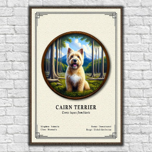 Póster Serie de Zoología del Cairn Terrier