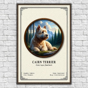Póster Serie de Zoología del Cairn Terrier