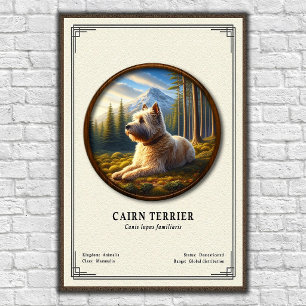 Póster Serie de Zoología del Cairn Terrier