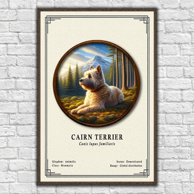 Póster Serie de Zoología del Cairn Terrier (Subido por el creador)