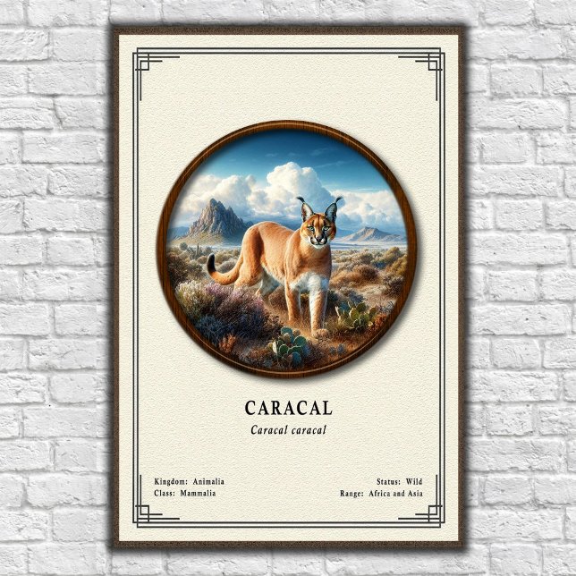 Póster Serie de Zoología del Caracal (Subido por el creador)