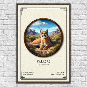 Póster Serie de Zoología del Caracal