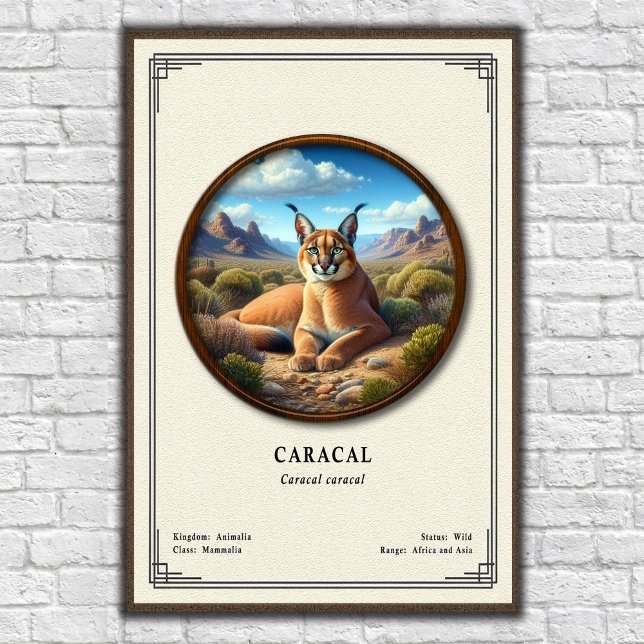 Póster Serie de Zoología del Caracal (Subido por el creador)