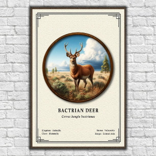 Póster Serie de Zoología del Ciervo Bactriano