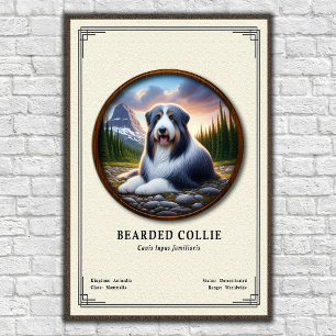 Póster Serie de Zoología del Collie Barbudo
