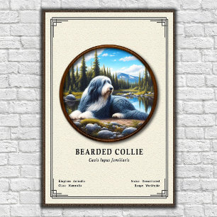 Póster Serie de Zoología del Collie Barbudo