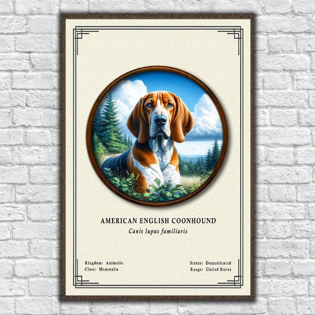 Póster Serie de Zoología del Coonhound Americano Inglés (Subido por el creador)