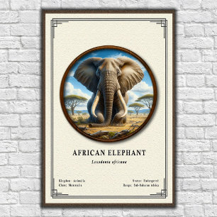 Póster Serie de Zoología del Elefante Africano